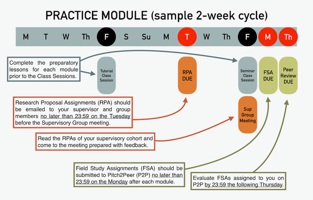 RDVE-Practice Module